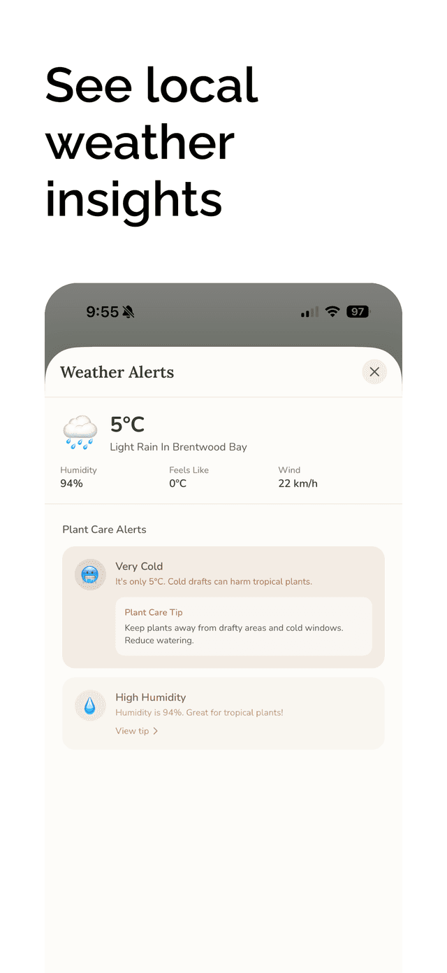 See local weather insights